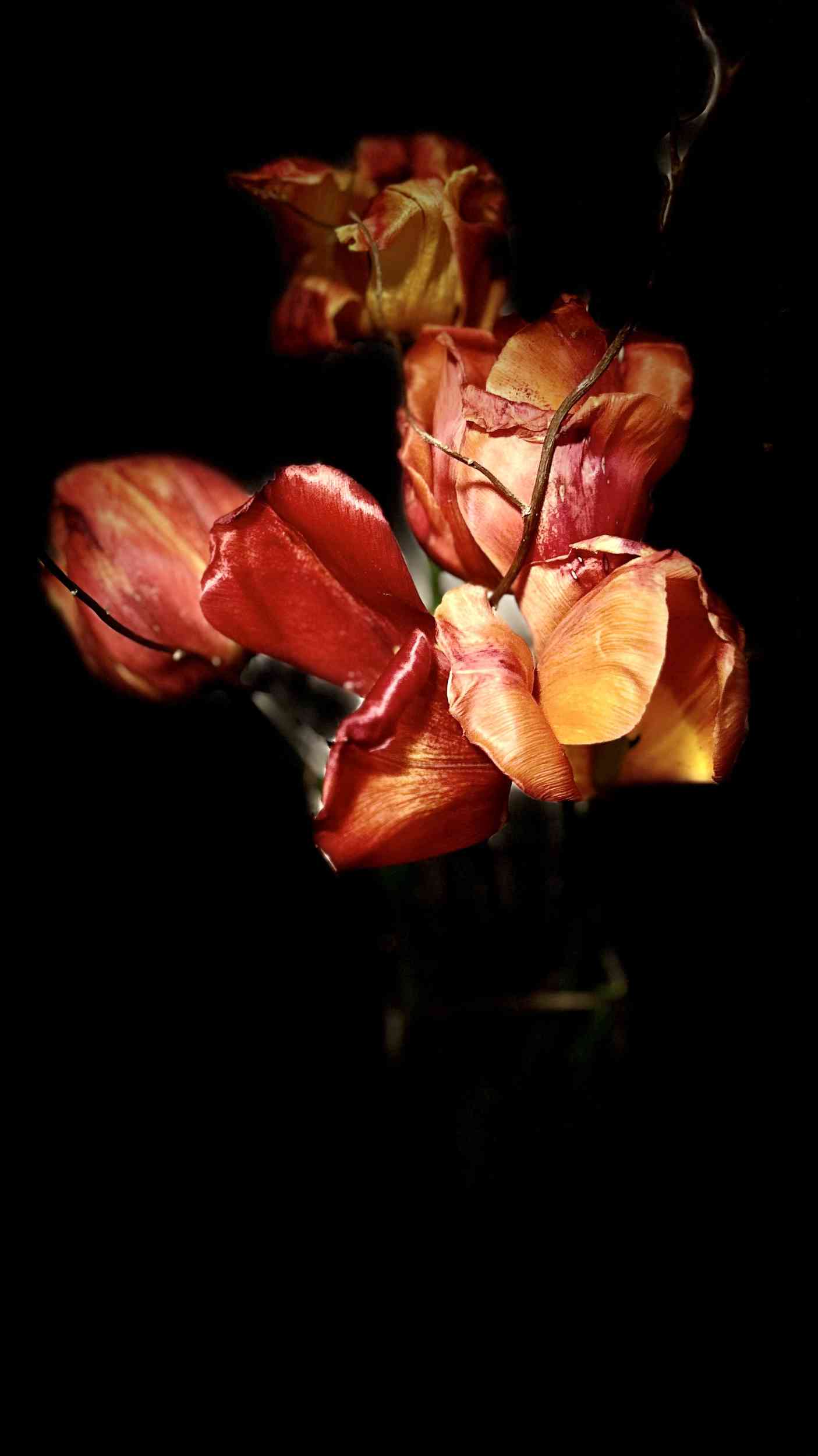 dagmar_fahrer_fotos_001